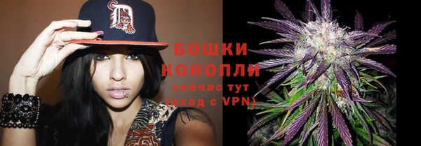 стафф Инта