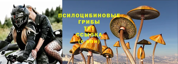 стафф Инта