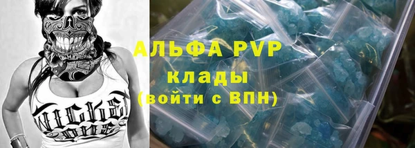 стафф Инта