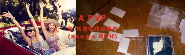 стафф Инта